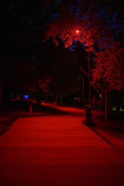 Creatives for Vienna – Making Spaces X Klima Biennale Wien: Licht für Vielfalt - Lichtfang: Begegnungen mit der Nacht (Jutta-Steier-Park, 17.04.2026) Foto: Wirtschaftsagentur Wien / eSeL.at - Joanna Pianka