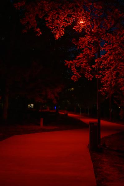 Creatives for Vienna – Making Spaces X Klima Biennale Wien: Licht für Vielfalt - Lichtfang: Begegnungen mit der Nacht (Jutta-Steier-Park, 17.04.2026) Foto: Wirtschaftsagentur Wien / eSeL.at - Joanna Pianka