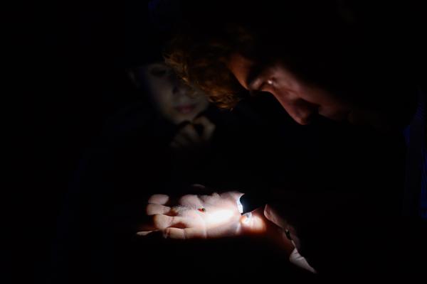 Creatives for Vienna – Making Spaces X Klima Biennale Wien: Licht für Vielfalt - Lichtfang: Begegnungen mit der Nacht (Jutta-Steier-Park, 17.04.2026) Foto: Wirtschaftsagentur Wien / eSeL.at - Joanna Pianka