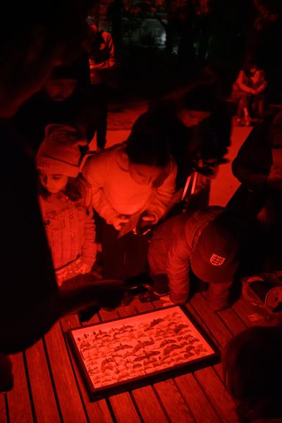 Creatives for Vienna – Making Spaces X Klima Biennale Wien: Licht für Vielfalt - Lichtfang: Begegnungen mit der Nacht (Jutta-Steier-Park, 17.04.2026) Foto: Wirtschaftsagentur Wien / eSeL.at - Joanna Pianka