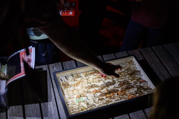 Creatives for Vienna – Making Spaces X Klima Biennale Wien: Licht für Vielfalt - Lichtfang: Begegnungen mit der Nacht (Jutta-Steier-Park, 17.04.2026) Foto: Wirtschaftsagentur Wien / eSeL.at - Joanna Pianka