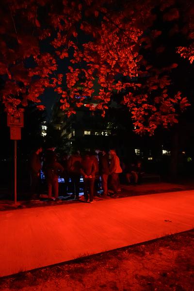 Creatives for Vienna – Making Spaces X Klima Biennale Wien: Licht für Vielfalt - Lichtfang: Begegnungen mit der Nacht (Jutta-Steier-Park, 17.04.2026) Foto: Wirtschaftsagentur Wien / eSeL.at - Joanna Pianka