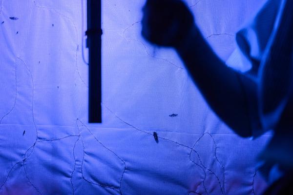 Creatives for Vienna – Making Spaces X Klima Biennale Wien: Licht für Vielfalt - Lichtfang: Begegnungen mit der Nacht (Jutta-Steier-Park, 17.04.2026) Foto: Wirtschaftsagentur Wien / eSeL.at - Joanna Pianka