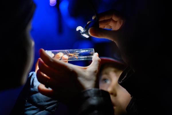 Creatives for Vienna – Making Spaces X Klima Biennale Wien: Licht für Vielfalt - Lichtfang: Begegnungen mit der Nacht (Jutta-Steier-Park, 17.04.2026) Foto: Wirtschaftsagentur Wien / eSeL.at - Joanna Pianka