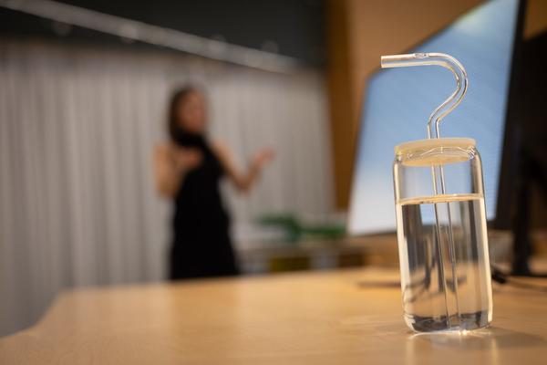 Lisa Großkopf: Stabile Performance (Landesgalerie Burgenland, 28.2. - 10.5.2026) Foto: eSeL.at - Lorenz Seidler