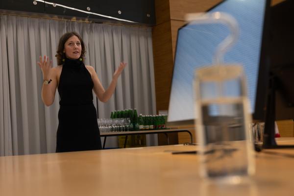 Lisa Großkopf: Stabile Performance (Landesgalerie Burgenland, 28.2. - 10.5.2026) Foto: eSeL.at - Lorenz Seidler