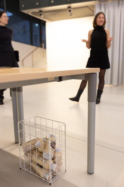 Lisa Großkopf: Stabile Performance (Landesgalerie Burgenland, 28.2. - 10.5.2026) Foto: eSeL.at - Lorenz Seidler