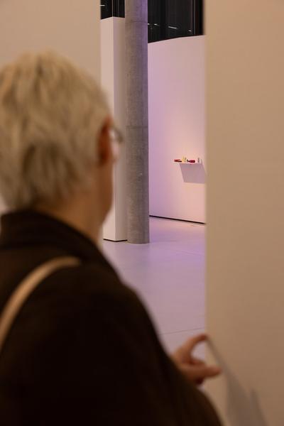 Lisa Großkopf: Stabile Performance (Landesgalerie Burgenland, 28.2. - 10.5.2026) Foto: eSeL.at - Lorenz Seidler