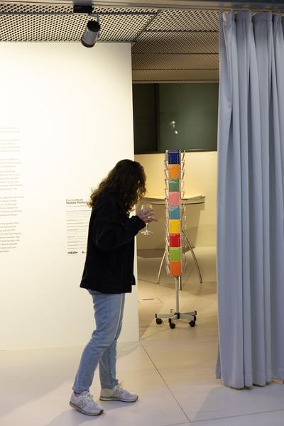 Lisa Großkopf: Stabile Performance (Landesgalerie Burgenland, 28.2. - 10.5.2026) Foto: eSeL.at - Lorenz Seidler