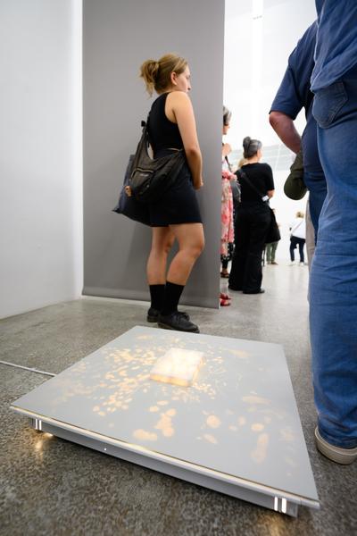 Margot Pilz: Get Intimate feat. Janne Charlotte Schipper (Galerie3, 03.09.2026) Foto: eSeL.at - Joanna Pianka