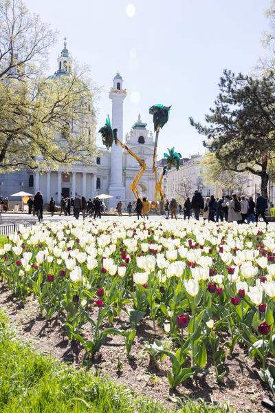 Kaorle am Karlsplatz 2026 (Klima Biennale 2026, 9.4. – 10.5.2026) Foto: eSeL.at - Lorenz Seidler