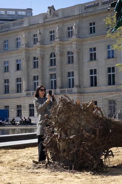 Kaorle am Karlsplatz 2026 (Klima Biennale 2026, 9.4. – 10.5.2026) Foto: eSeL.at - Lorenz Seidler