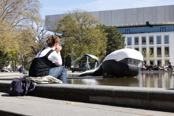 Kaorle am Karlsplatz 2026 (Klima Biennale 2026, 9.4. – 10.5.2026) Foto: eSeL.at - Lorenz Seidler