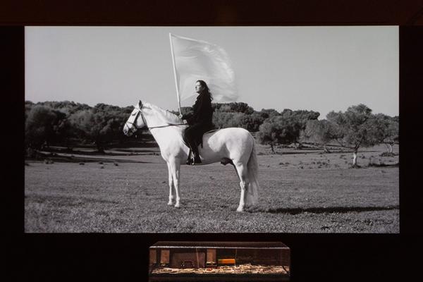 Marina Abramović (Albertina Modern, 10.10.2025 - 1.3.2026) Foto: eSeL.at - Lorenz Seidler