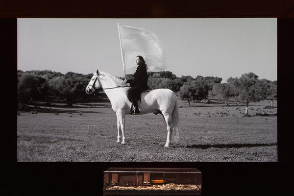 Marina Abramović (Albertina Modern, 10.10.2025 - 1.3.2026) Foto: eSeL.at - Lorenz Seidler