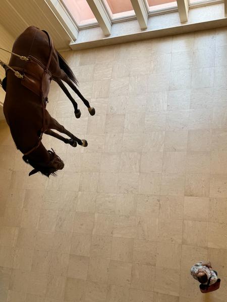 Maurizio Cattelan &quot;Sussurro&quot; (Casa de Serralves, Porto, 4.7.2025 - 11.1.2026) Foto: eSeL.at - Lorenz Seidler