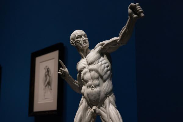 Albertina: Michelangelo und die Folgen (15.9.2023 - 14.1.2024) Foto: eSeL.at - Lorenz Seidler