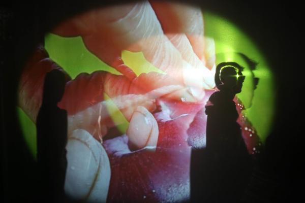 Kunsthalle Krems: Pipilotti Rist (21.3. - 28.6.2015, press preview) Foto: eSeL.at - Lorenz Seidler