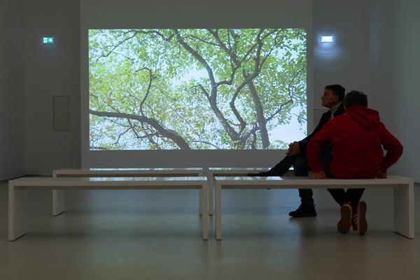 Mohsin Shafi &quot;Between Two Worlds&quot; (Kunsthalle Krems, 22.11.2025 – 06.04.2026) Foto: eSeL.at - Lorenz Seidler