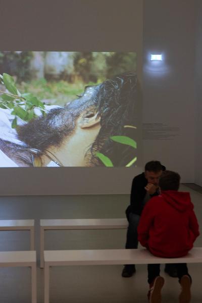 Mohsin Shafi &quot;Between Two Worlds&quot; (Kunsthalle Krems, 22.11.2025 – 06.04.2026) Foto: eSeL.at - Lorenz Seidler