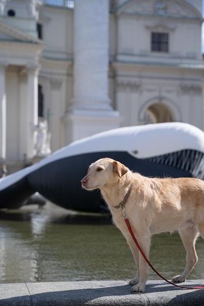 (No) Funny Games Opening - Klima Biennale 2026 (Kaorle Karlsplatz, 09.04.2026) Foto: eSeL.at - Sarah Tasha