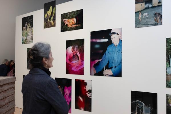Iris Andraschek. Nö Würdigungspreisträgerin 2025 (Landesgalerie Niederösterreich, 29.11.2025-03.05.2026) Foto: eSeL.at - Lorenz Seidler