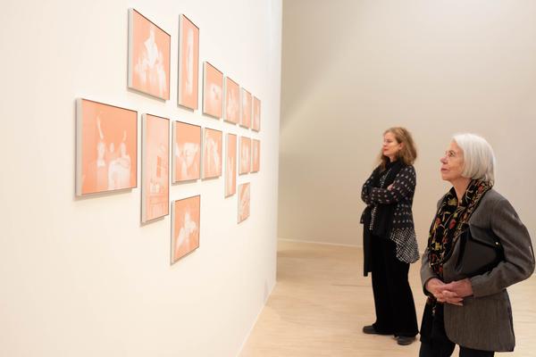 Iris Andraschek. NÃ¶ WÃ¼rdigungspreistrÃ¤gerin 2025 (Landesgalerie NiederÃ¶sterreich, 29.11.2025-03.05.2026) Foto: eSeL.at - Lorenz Seidler