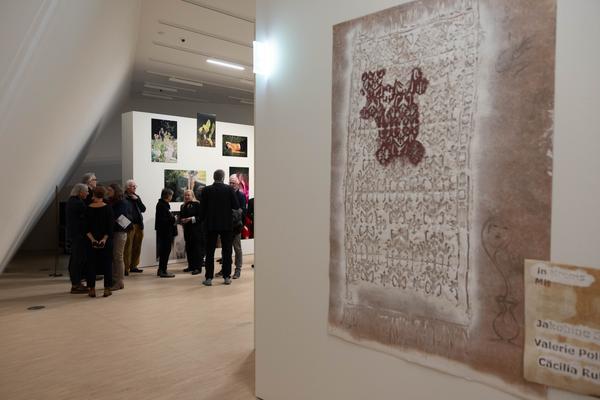 Iris Andraschek. Nö Würdigungspreisträgerin 2025 (Landesgalerie Niederösterreich, 29.11.2025-03.05.2026) Foto: eSeL.at - Lorenz Seidler