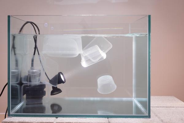 Iris Andraschek. Nö Würdigungspreisträgerin 2025 (Landesgalerie Niederösterreich, 29.11.2025-03.05.2026) Foto: eSeL.at - Lorenz Seidler