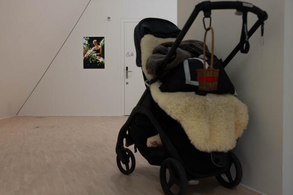 Iris Andraschek. Nö Würdigungspreisträgerin 2025 (Landesgalerie Niederösterreich, 29.11.2025-03.05.2026) Foto: eSeL.at - Lorenz Seidler