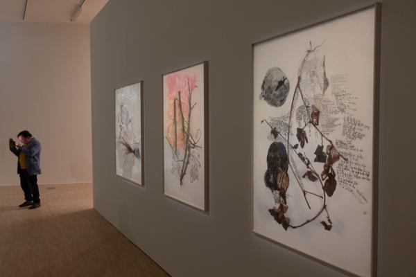 Iris Andraschek. Nö Würdigungspreisträgerin 2025 (Landesgalerie Niederösterreich, 29.11.2025-03.05.2026) Foto: eSeL.at - Lorenz Seidler