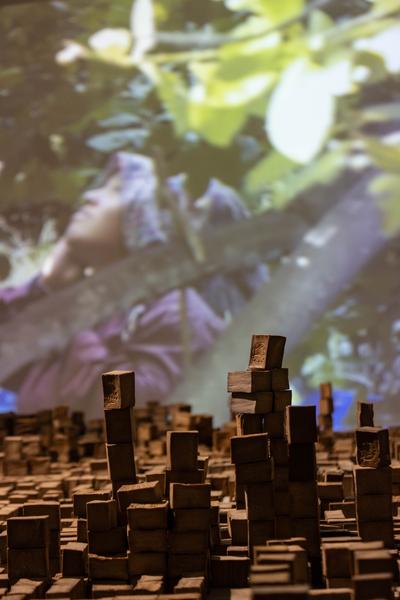 Iris Andraschek. Nö Würdigungspreisträgerin 2025 (Landesgalerie Niederösterreich, 29.11.2025-03.05.2026) Foto: eSeL.at - Lorenz Seidler