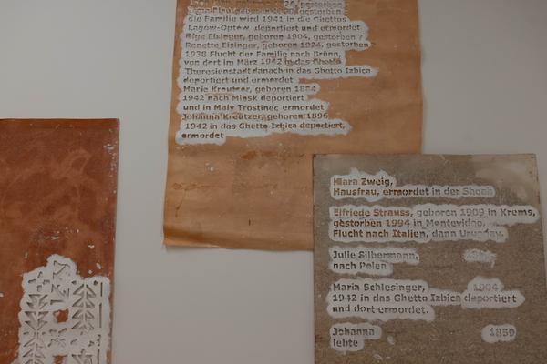 Iris Andraschek. Nö Würdigungspreisträgerin 2025 (Landesgalerie Niederösterreich, 29.11.2025-03.05.2026) Foto: eSeL.at - Lorenz Seidler