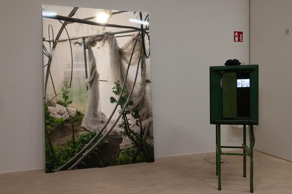 Iris Andraschek. Nö Würdigungspreisträgerin 2025 (Landesgalerie Niederösterreich, 29.11.2025-03.05.2026) Foto: eSeL.at - Lorenz Seidler