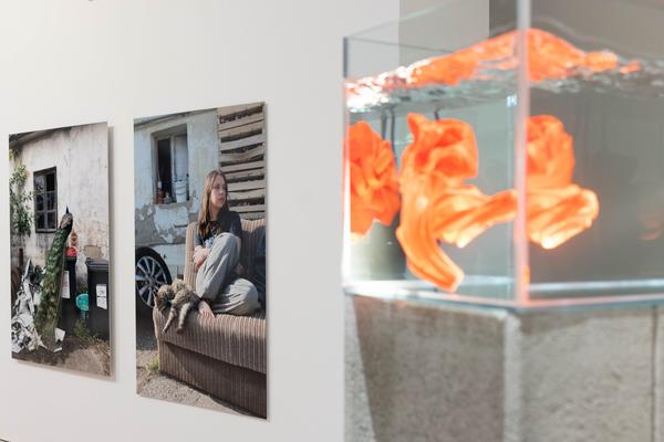 Iris Andraschek. Nö Würdigungspreisträgerin 2025 (Landesgalerie Niederösterreich, 29.11.2025-03.05.2026) Foto: eSeL.at - Lorenz Seidler