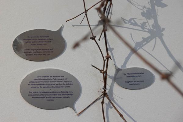 Iris Andraschek. Nö Würdigungspreisträgerin 2025 (Landesgalerie Niederösterreich, 29.11.2025-03.05.2026) Foto: eSeL.at - Lorenz Seidler