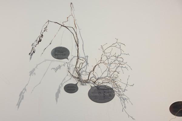 Iris Andraschek. Nö Würdigungspreisträgerin 2025 (Landesgalerie Niederösterreich, 29.11.2025-03.05.2026) Foto: eSeL.at - Lorenz Seidler