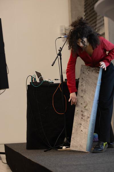 Iris Andraschek. Nö Würdigungspreisträgerin 2025 (Laudatio: Kunsthalle Krems, Ausstellung: Landesgalerie Niederösterreich, 29.11.2025-03.05.2026) Foto: eSeL.at - Lorenz Seidler
