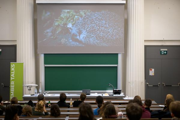 Novembertalks 2025: Joyce van den Berg, Studio Berg (Tu Wien Architektur &amp; Raumplanung, 10.11.2025) Foto: eSeL.at - Joanna Pianka