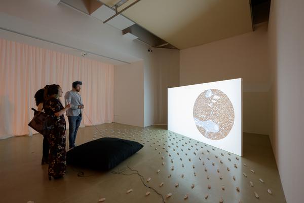 On a tongue’s tip, at a world’s lip (Kunstraum Niederösterreich, 02.09. - 08.11.2025) Foto: eSeL.at - Joanna Pianka