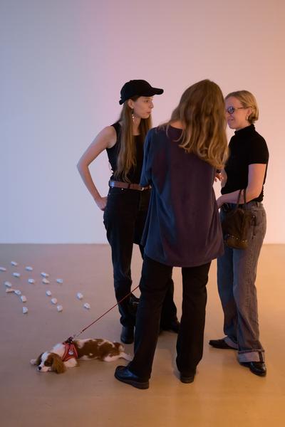 On a tongue’s tip, at a world’s lip (Kunstraum Niederösterreich, 02.09. - 08.11.2025) Foto: eSeL.at - Joanna Pianka