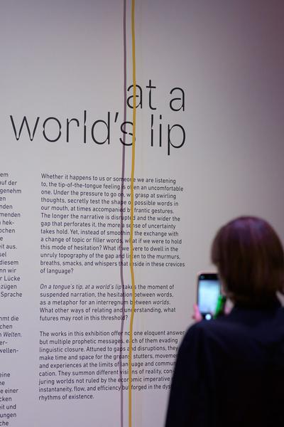 On a tongue’s tip, at a world’s lip (Kunstraum Niederösterreich, 02.09. - 08.11.2025) Foto: eSeL.at - Joanna Pianka