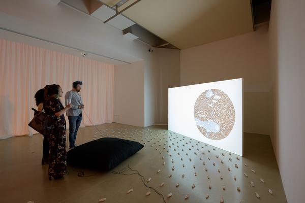 On a tongue’s tip, at a world’s lip (Kunstraum Niederösterreich, 02.09. - 08.11.2025) Foto: eSeL.at - Joanna Pianka