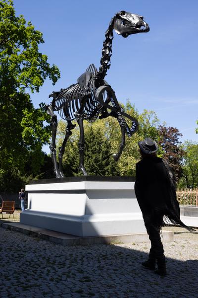 Open House (Belvedere 21, 26.4.2026) Foto: eSeL.at - Lorenz Seidler