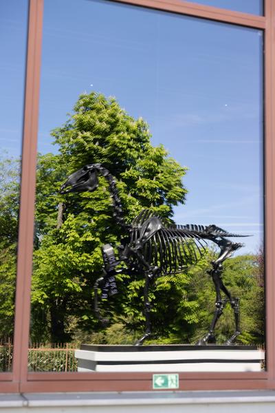 Open House (Belvedere 21, 26.4.2026) Foto: eSeL.at - Lorenz Seidler