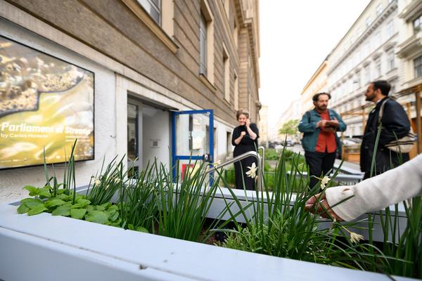 Open Studios &amp; Openings (das weisse haus, 16.04.2026) Foto: eSeL.at - Joanna Pianka