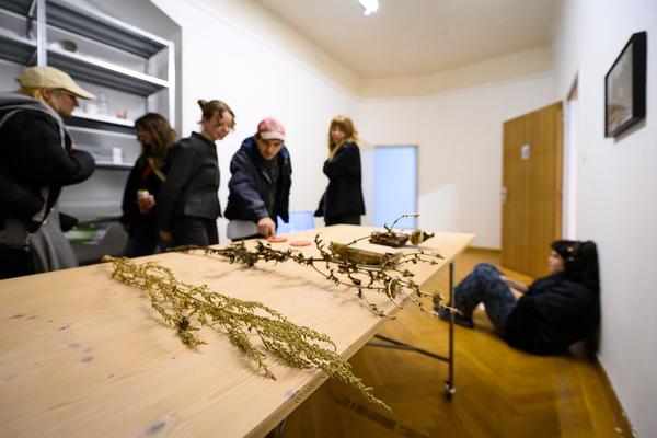 Open Studios &amp; Openings (das weisse haus, 16.04.2026) Foto: eSeL.at - Joanna Pianka