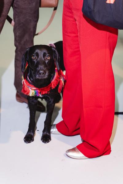 Oskar Kokoschka-Preis 2026 (Universität für angewandte Kunst, 26.02.2026) Foto: eSeL.at - Robert Puteanu