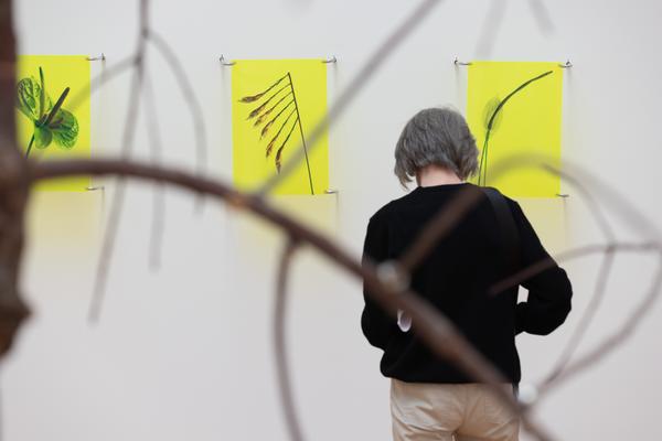 Paradise (The Hall - PART International Art Residency Austria, 7.9. - 28.9.2025) Foto: eSeL.at - Lorenz Seidler