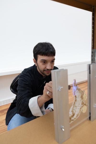 Paradise (The Hall - PART International Art Residency Austria, 7.9. - 28.9.2025) Foto: eSeL.at - Lorenz Seidler